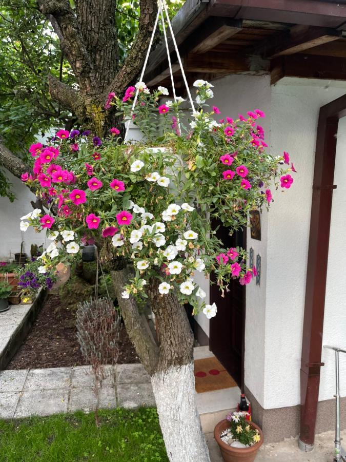 Apartments Music, Garden And Parking Sarajevo Exterior photo